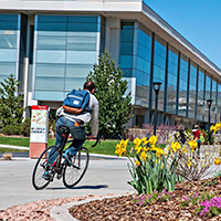 individual on bike riding through marriott library plaza