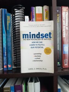 picture of mindset book cover