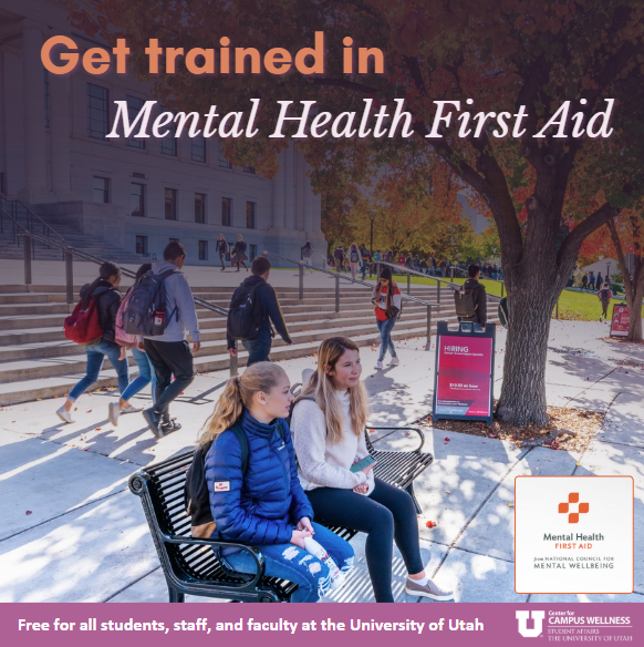 summer 2025 mhfa