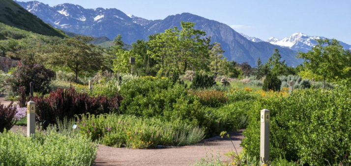 Red Butte Garden pathway in summer