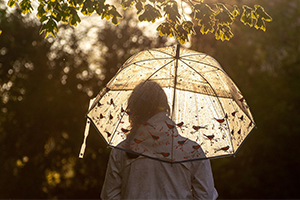 individual silhouette holding umbrella surrounded by greenery